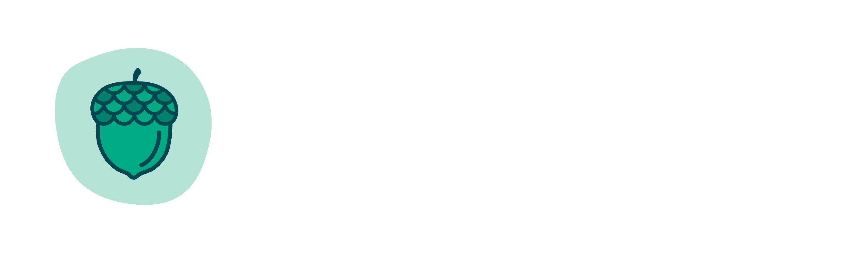 Mockup of the Jamesville brand guidelines booklet on a turquoise and green background